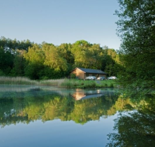 Swanwick Lakes