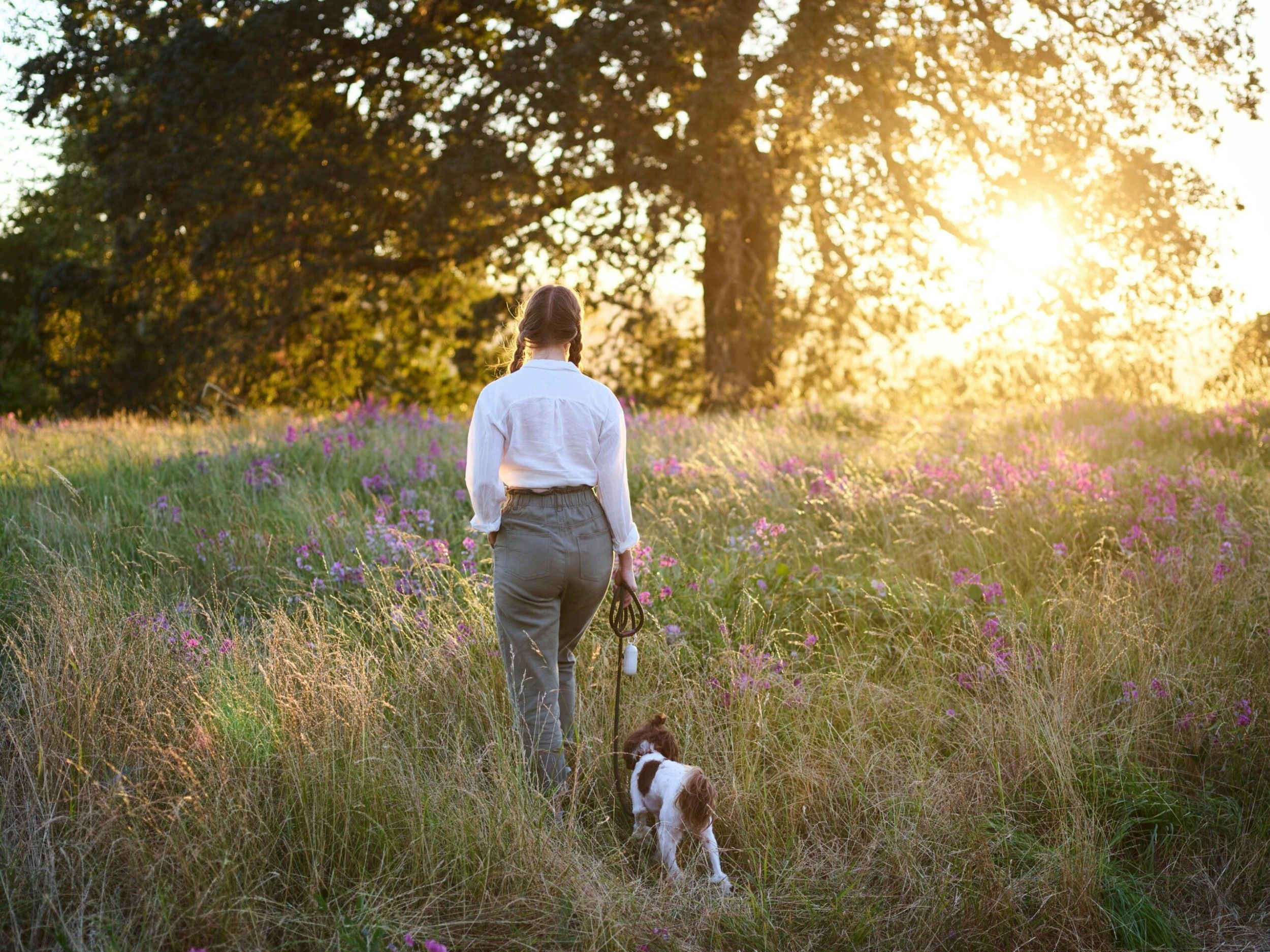 Dog Walking